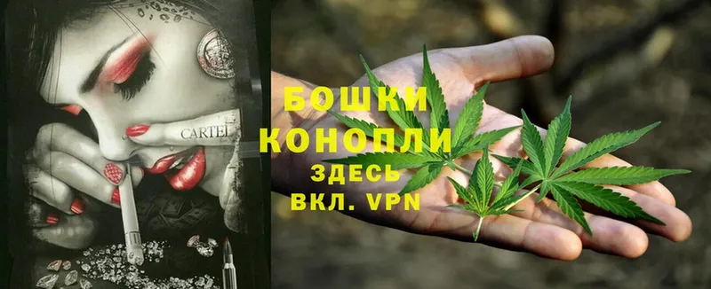 купить закладку  Лесосибирск  Конопля OG Kush 